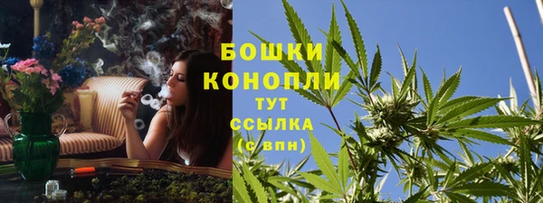 прущая мука Верея