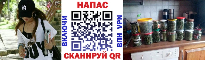 Конопля Ganja  Купить закладки  Бирюсинск 